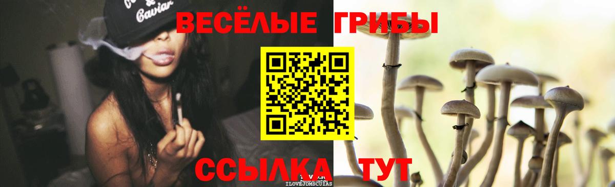 Псилоцибиновые грибы мухоморы  Вход с VPN  Томск  Псилоцибиновые грибы GOLDEN TEACHER 